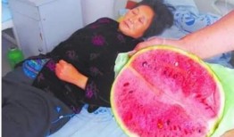 好女子吃瓜中毒视频下载,好女子吃瓜中毒事件，视频下载背后的真相