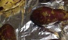 砍瓜可以烤着吃吗视频大全,探索砍瓜烤制美味之旅