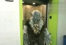 穷人吃瓜的搞笑视频,搞笑视频带你领略另类幽默