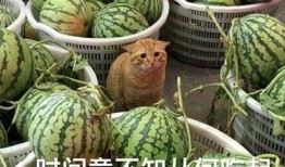 吃瓜原视频网,带你领略网络热点的背后真相