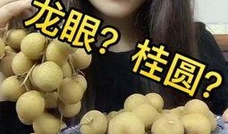 甜尤软糖酱吃瓜视频,甜尤软糖酱带你领略吃瓜视频的魅力