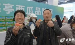 大舒城吃瓜群众视频播放,揭秘热门视频背后的热议焦点