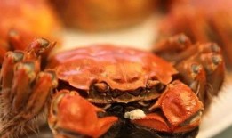 吃瓜哥卖螃蟹视频大全,一场味蕾与视觉的盛宴