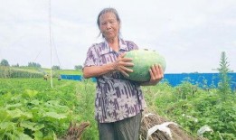 老太太吃瓜篓子视频,老太太的悠闲生活剪影