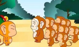 一只笨鸟吃瓜的故事视频,一场爆笑的意外之旅