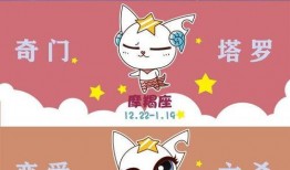 吃瓜星星视频,一场视觉盛宴的幕后故事