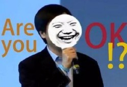 小米发布会吃瓜群众视频,吃瓜群众视角下的精彩瞬间