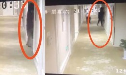 胡一天吃瓜群众视频,揭秘明星私下生活瞬间