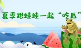 呱呱吃瓜故事表演视频完整版,一场爆笑不断的喜剧盛宴