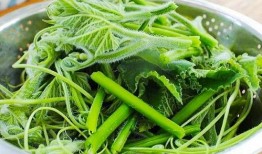 小尖瓜怎么吃才好吃视频,视频教你轻松变身美食达人