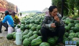 仙居县吃瓜事件视频,一场引发热议的网络视频风波