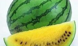 全得利吃瓜视频,揭秘娱乐圈幕后真相