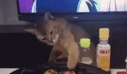 二哥喝酒吃瓜视频在线观看,畅饮美酒，品味人生，在线观看吃瓜盛宴