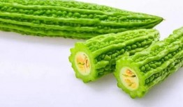 柳瓜小孩儿可以吃么嘛视频,家长必看视频揭秘