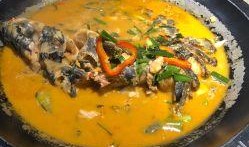 鱼儿吃瓜视频,揭秘水下美食奇观