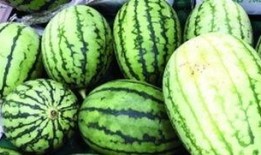 西瓜视频在哪里吃瓜,畅享“吃瓜”盛宴，解锁热门视频新姿势