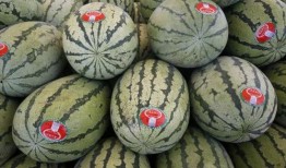 香港人吃硒砂瓜的多吗视频,全民瓜香四溢