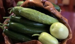 各大网红吃瓜合集视频下载,揭秘娱乐圈幕后真相