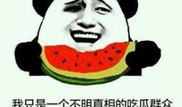 西瓜视频里吃瓜群众 必,吃瓜群众的热议焦点