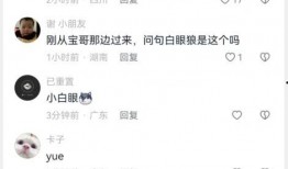 吃瓜群视频链接,一场网络热议背后的真相