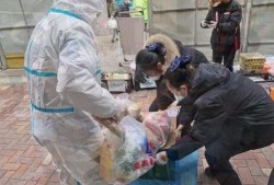 疫情吵架吃瓜视频大全,吵架视频大盘点