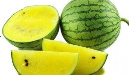 甜尤软糖酱吃瓜视频,甜尤软糖酱带你领略吃瓜视频的魅力