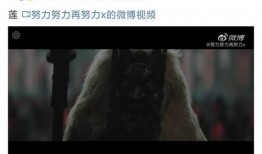 吃瓜博主侵权事件视频大全,视频大全揭秘网络版权纠纷风云