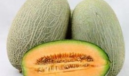 如何坐火车吃哈密瓜视频,一场甜蜜的旅行美食体验