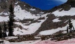 雪场吃瓜事件真相视频,真相视频曝光背后的惊人内幕