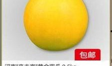 怎么吃黄金蜜瓜视频,视频教你轻松享用