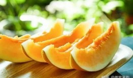益果蜜瓜好吃吗怎么吃视频,视频教你如何品尝佳肴