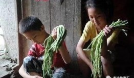 河南姐弟吃瓜视频,揭秘背后真相与网友热议