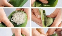 瓜友们吃粽子视频,瓜友们的粽子盛宴大赏