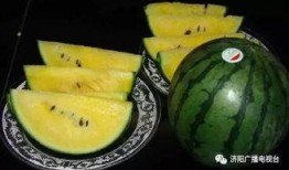 怎么吃瓜仁完整留瓜壳视频,瓜仁轻松享用——瓜仁食用新技巧揭秘