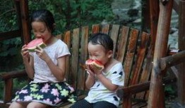 河南姐弟吃瓜视频,揭秘背后真相与网友热议