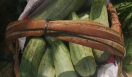 带货吃瓜全过程视频完整版,带货吃瓜大事件，带你领略网红带货魅力