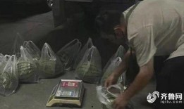 山东劲爆吃瓜事件视频,视频揭秘惊人真相