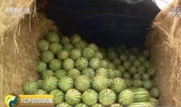 大中国吃瓜视频,揭秘各地美食背后的故事与风情