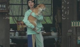 张艺兴黄磊吃瓜视频大全,揭秘娱乐圈幕后趣事