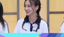 吃瓜协会会长视频,一场视频背后的娱乐风云