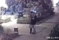 山西吃瓜视频完整版,揭秘当地特色美食与风土人情