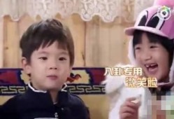 杨幂吃瓜八卦视频大全下载,揭秘娱乐圈幕后故事