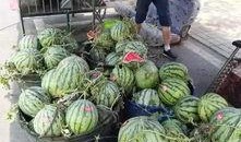 丰县最新吃瓜事件真相视频