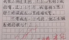 带你吃瓜小学生作文视频,跟随小学生一起品尝作文的甜蜜果实