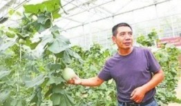 江夏吃瓜事件视频最新进展,真相大白，疑云散去