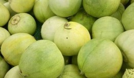 吃瓜视频警示,揭秘网络视频背后的风险与警示