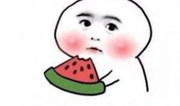 吃瓜拍视频被骂怎么办啊,应对吃瓜拍视频被骂的巧妙策略