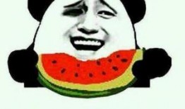 自闭吃瓜群众视频,视频背后的真实故事