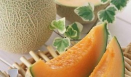 大鹅吃哈密瓜视频大全集,哈密瓜视频大全集趣味回顾