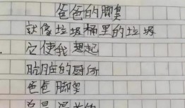 带你吃瓜小学生作文视频,跟随小学生一起品尝作文的甜蜜果实